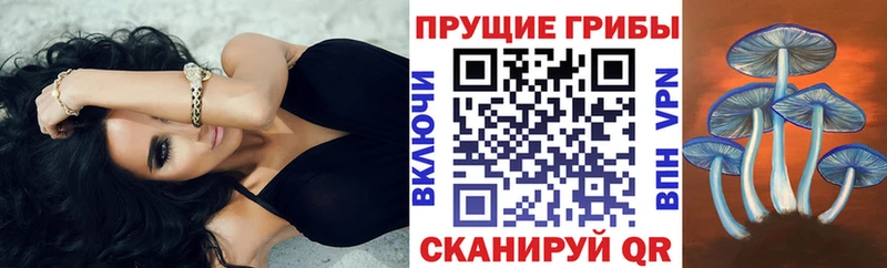 Псилоцибиновые грибы ЛСД  Кореновск 