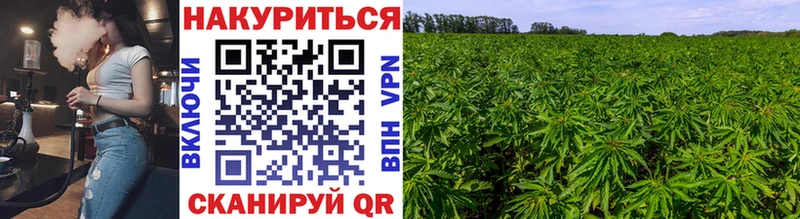 Конопля THC 21% Кореновск